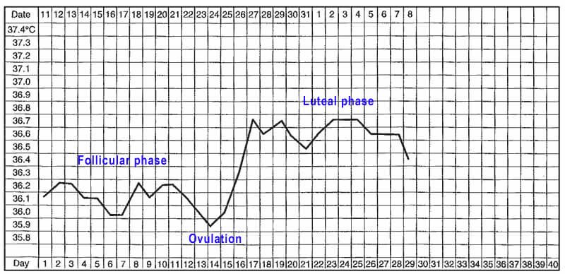 Basal Body Temperature Chart