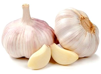garlic