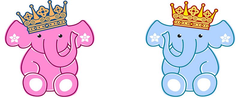 about elephant image