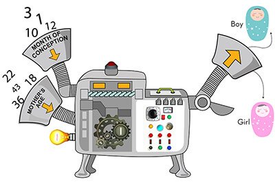 Chinese gender predictor