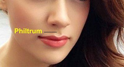 Philtrum